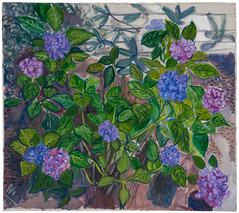 Alice Neel, Hydrangeas