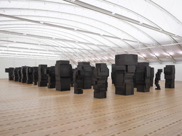 Antony Gormley, Expansion Field