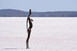 Antony Gormley, Inside Autralia