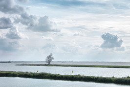 Antony Gormley, Exposure