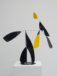 Bertrand Lavier, Composition noir et jaune