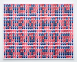 Jonathan Horowitz, Coke/Pepsi (646 Cans)