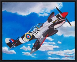 Malcolm Morley, P-40 Warhawk Soaring