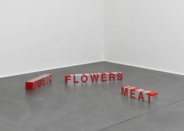 Roni Horn, Kafka's Complaints, Selected