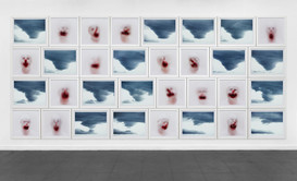 Roni Horn, Clowd and Cloun (Gray)