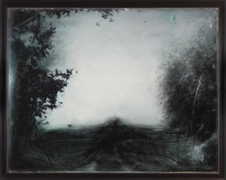 Thierry De Cordier, Black Landscape ("Fucking Flanders !")