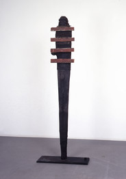 Thierry De Cordier, Pole (j.a.v.)