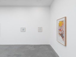 Exhibition view Willem de Kooning