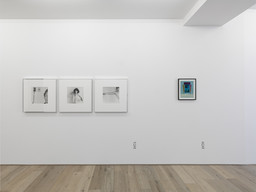 Exhibition view Robert Mapplethorpe