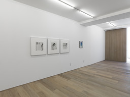 Exhibition view Robert Mapplethorpe