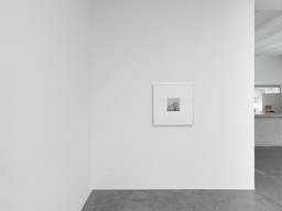 Exhibition view Robert Mapplethorpe