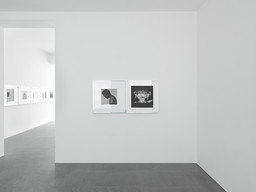 Exhibition view Robert Mapplethorpe