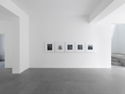 Exhibition view Robert Mapplethorpe