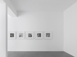 Exhibition view Robert Mapplethorpe