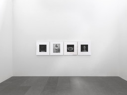 Exhibition view Robert Mapplethorpe