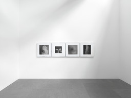 Exhibition view Robert Mapplethorpe